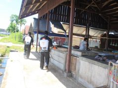 Polres MTB Semprotkan Cairan Disinfektan Pada Area Pasar Omele Sifnana