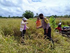 Bhabinkamtibmas Desa Lorulun Kunjungi Warganya Di Kebun Guna Sosialisasi Covid 19