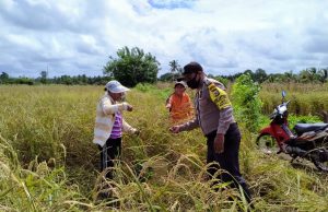 Bhabinkamtibmas Desa Lorulun Kunjungi Warganya Di Kebun Guna Sosialisasi Covid 19