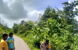 Bhabinkamtibmas Desa Bomaki Bersama Warganya Melaksanakan Pembersihan Pohon Yang Tumbang