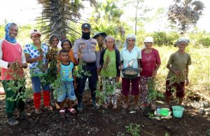 Bhabinkamtibmas Desa Werain Bersama Warganya Panen Kacang Ditengah Pandemi Covid 19