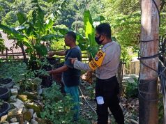 Sebagai Dampak Pandemi Covid 19, Bhabinkamtibmas Desa Wowonda Ajak Warga Berkebun