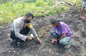 Bantu Warga menanam di kebun, Bhabinkamtibmas Batu Putih Sosialisasikan Protokol Kesehatan pencegahan Penyebaran Virus Corona (Covid-19)