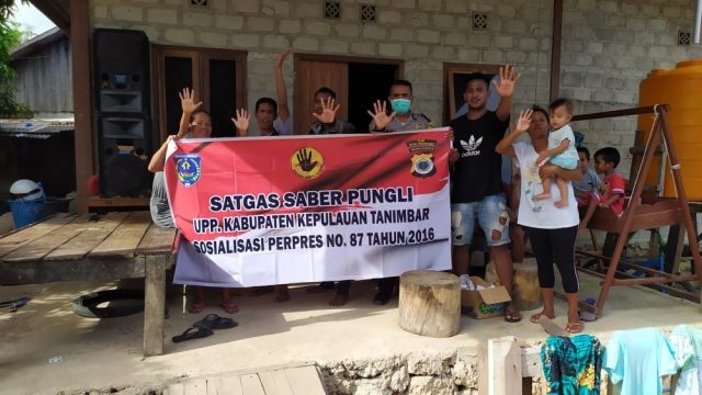 Bhabin Lermatang_Saber P