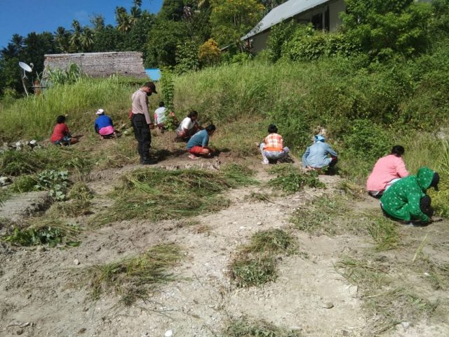 Bhabin Sangkra_Rumput Laur