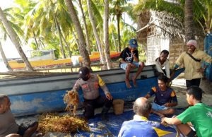 Sambangi warga Panen rumput laut, Bhabinkamtibmas Werain sampaikan New Normal