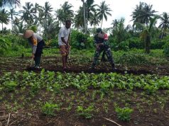 Bhabinkmatibmas Wowonda dan Babinsa edukasikan bercocok pangan lokal di tengah pandemi covid-19 kepada warga