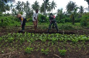 Bhabinkmatibmas Wowonda dan Babinsa edukasikan bercocok pangan lokal di tengah pandemi covid-19 kepada warga