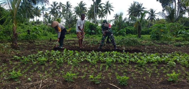 Bhabin Wowonda_menanam