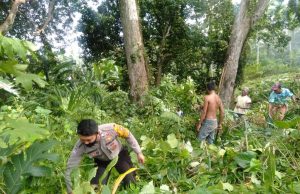 Bhabinkamtibmas Atubul Dol Amankan Pembersihan Lahan Untuk Persiapan Pembangunan 25 Unit Rumah Bantuan