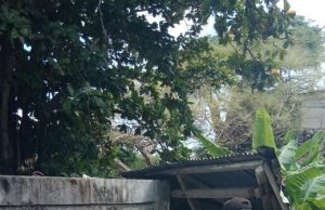 Sambangi warga yang sedang mencuci Bhabinkamtibmas Awear Lama Binluh Protokol Kesehatan Covid-19