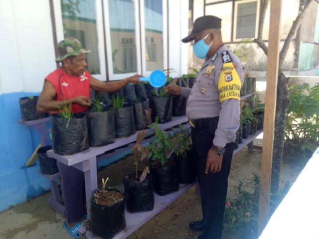 Bhabin Latdalam__DDS