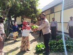 Polsek Tanimbar Selatan Giat Panen perdana hasil kebun di lahan Polsek