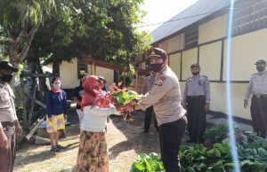 Polsek Tanimbar Selatan Giat Panen perdana hasil kebun di lahan Polsek