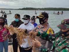 Kapolres Kep. Tanimbar bersama Forkopimda dan Tokoh Agama Giat Panen Raya Rumput Laut di Desa Awear Rumngeur