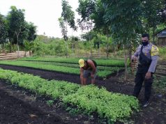 Sambangi Bapak Yohanis Saikmat, Bhabinkamtibmas Ilngei Sampaikan Pesan Kamtibmas dan Protokoler Pencegahan Covid-19