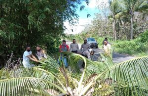 Kabag Ops bersama personil Polres Kep. Tanimbar dan Masyarakat Giat evakuasi Pohon tumbang