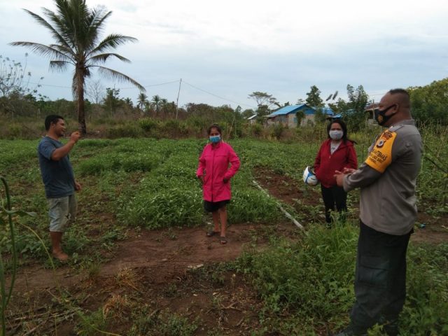 9. Ilngei Barat__Kunjungan