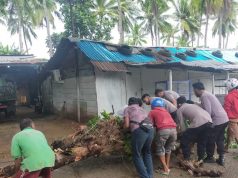 Tanggap dan peduli dampak bencana, personil Sat Samapta Polres Kepulauan Tanimbar bersama Warga pindahkan pohon yang tumbang