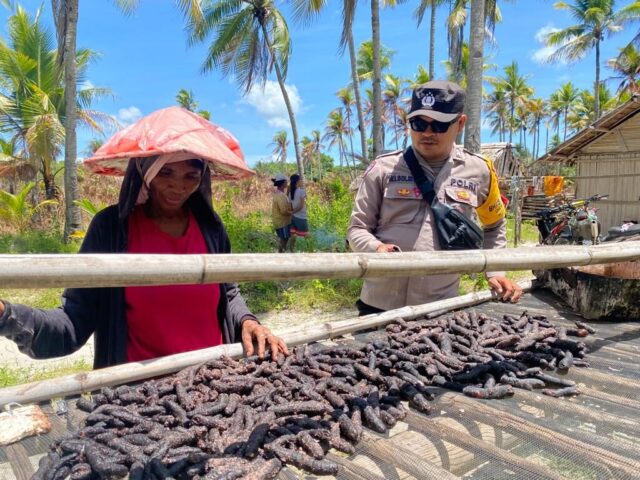 WhatsApp Image 2022-12-12 at 21.35.53