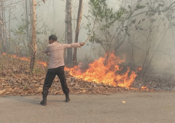 fcf395d2-20a5-45eb-bd1e-5b27cd3688a1