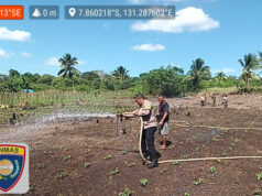 Berikan pendampingan intensif, Bhabinkamtibmas Wowonda sambangi Petani dukung Ketahanan Pangan