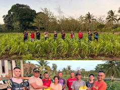 Terus perkuat Ketahanan Pangan, Polsek Tanut lakukan pemantauan dan pemeliharaan kebun Jagung