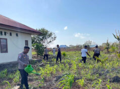 Terus dukung Ketahanan Pangan, Polsek Selaru lakukan perawatan tanaman jagung dan kacang