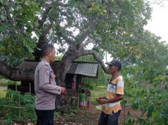 Dukung Ketahanan Pangan dan jalin kemitraan, Bhabinkamtibmas Desa persiapan Ilngei Barat sambangi Petani