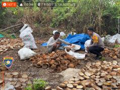 Sambangi Petani Kopra, Bhabinkamtibmas Kabiarat dukung peningkatan produksi Kopra dan kesejahteraan Warga