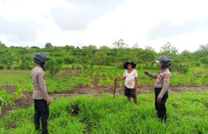 Jaga Kamtibmas dan dukung Ketahanan Pangan Lokal, Polsek Tanut gelar patroli dialogis pada area Pertanian