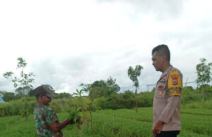 Tingkatkan produktivitas pertanian, Bhabinkamtibmas Desa persiapan Ilngei Barat sambangi Petani