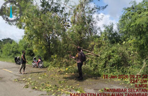 Dengan sigap, Bhabinkamtibmas Ilngei bersama Warga evakuasi pohon tumbang yang tutupi bahu jalan