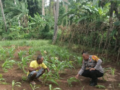Sambangi Warga Petani, Bhabinkamtibmas Watidal perkuat Ketahanan Pangan