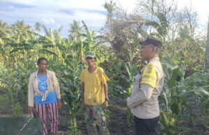 Bhabinkamtibmas Lorwembun kawal program Ketahanan Pangan lewat giat sambang