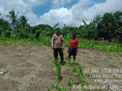 Dukung Ketahanan Pangan, Bhabinkamtibmas Alusi Tamrian tinjau lahan perkebunan Warga