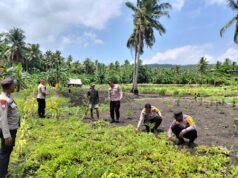 Dukung Ketahanan Pangan, Kapolsek Kormomolin bersama Anggota terjun langsung bersihkan lahan