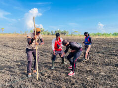 Polsek Selaru perkuat Ketahanan Pangan Nasional melalui penanaman Jagung Hibrida