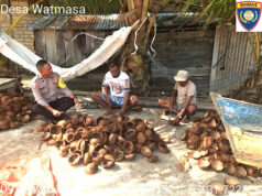 Dukung Ketahanan Ekonomi Warga, Bhabinkamtibmas Watmasa sambangi Petani kopra