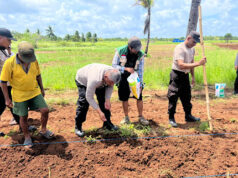 Tanam Jagung bersama kelompok Tani, Polsek Tansel dorong peningkatan Ketahanan Pangan