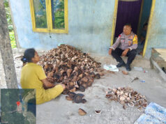 Pererat Silaturahmi, Bhabinkamtibma Amdasa sambangi Warga Petani kopra