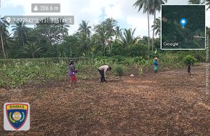 Wujudkan kedekatan dengan Petani, Bhabinkamtibmas Wowonda turun ke lahan bantu tanam sayur