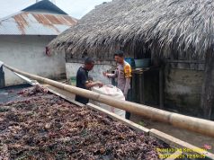 Dukung ketahanan ekonomi pesisir, BhabinKamtibmas Namtabung Sambangi Pengusaha Rumput Laut
