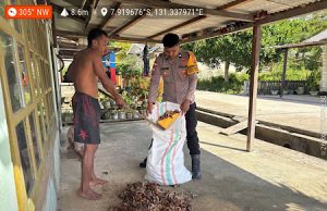 Sentuhan Humanis Bhabinkamtibmas Kabiarat, bantu Petani tingkatkan produktivitas kopra