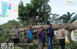 Polsek Tansel bersama Dinas Lingkungan Hidup gerak cepat bersihkan pohon yang tumbang