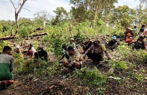 Wujudkan sinergitas, Bhabinkamtibmas Romnus gotong royong bersama Warga di Kebun