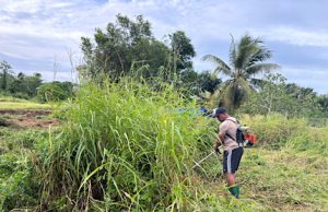 Optimalkan Ketahanan Pangan, Polsek Tanimbar Utara gotong royong bersihkan lahan baru
