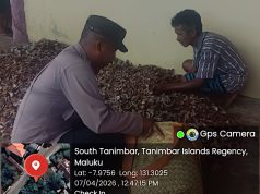 Wujud dukungan ekonomi Masyarakat, Bhabinkamtibmas Matakus bantu Warga olah kopra