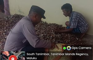 Wujud dukungan ekonomi Masyarakat, Bhabinkamtibmas Matakus bantu Warga olah kopra