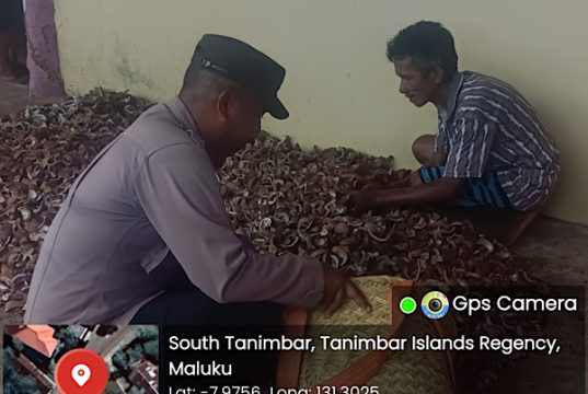 Wujud dukungan ekonomi Masyarakat, Bhabinkamtibmas Matakus bantu Warga olah kopra